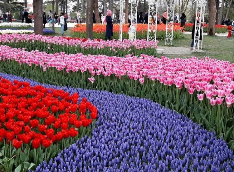 Istanbul Thổ Nhĩ Kỳ 1
