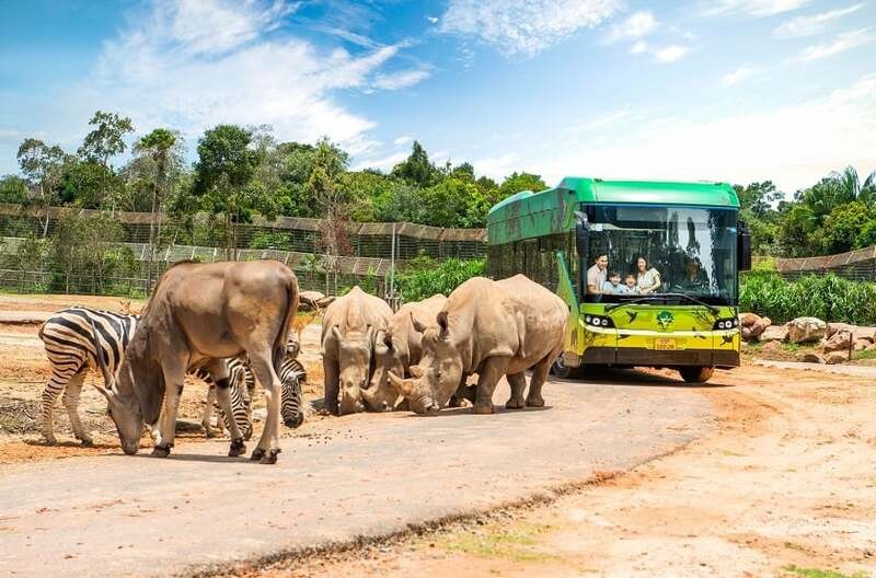 Lưu Ý Khi Tham Quan Safari World Lưu Ý Khi Tham Quan Safari World