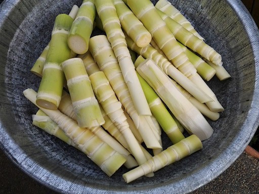 Măng chua Sapa