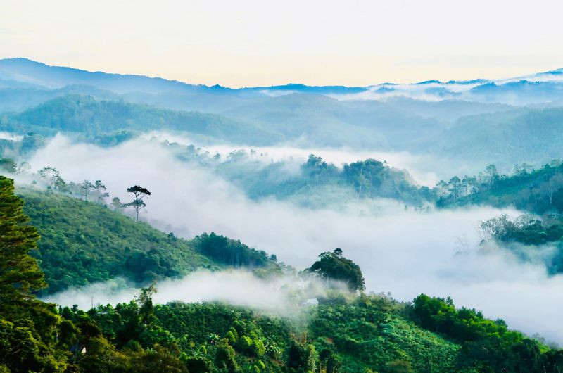 Săn mây Măng Đen