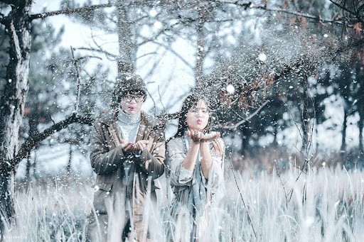 du lịch Đà Lạt vào mùa nào đẹp - mùa đông đà lạt