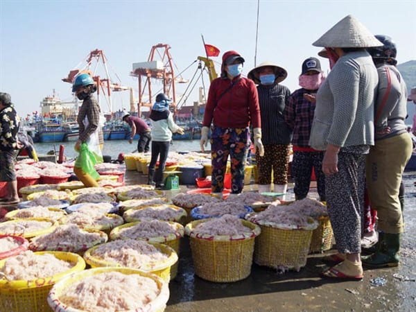 mua-hai-san-quy-nhon-cho-ca-ham-tu