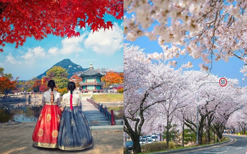Du lịch Seoul Tour Hàn Quốc Seoul Nami 5N4Đ Giá Rẻ 2