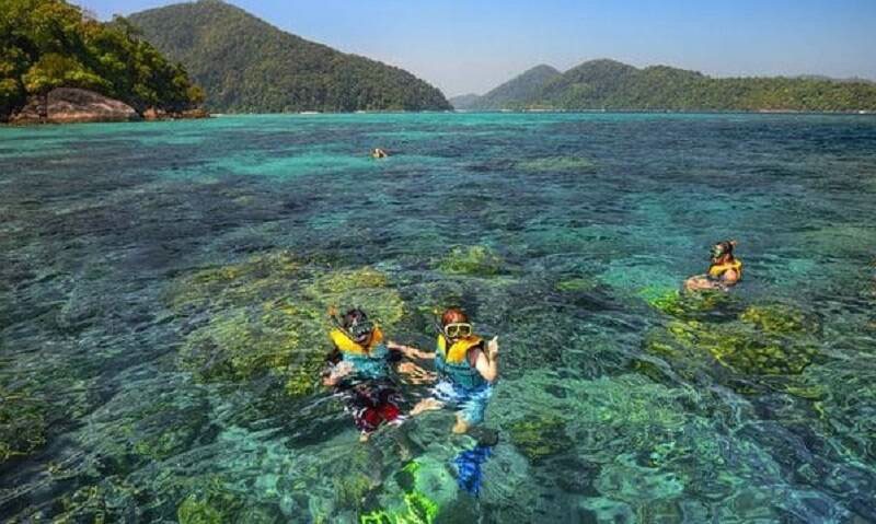 Bãi dứa nhơn lý Bãi dứa nhơn lý