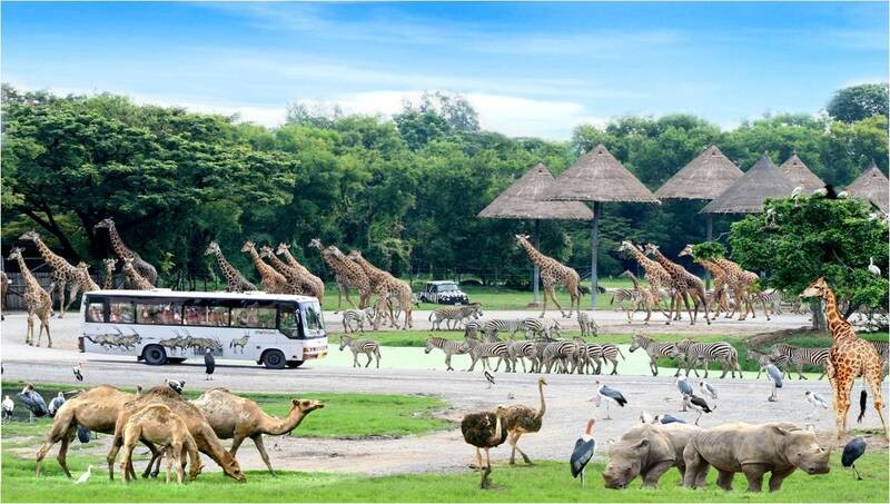 Những câu hỏi khi tham quan Safari World Những câu hỏi khi tham quan Safari World
