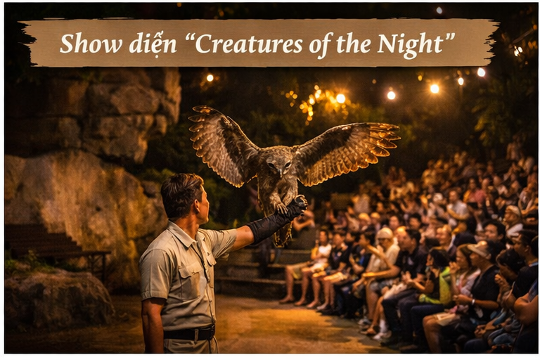 Night Safari Singapore - Show diễn động vật ban đêm 