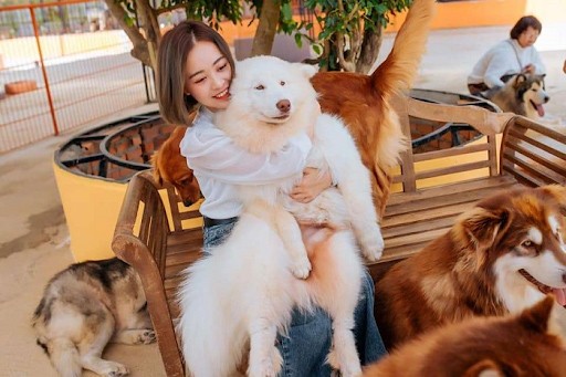 du lịch Đà Lạt 2 ngày 1 đêm - nông trại cún
