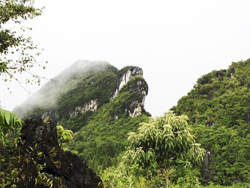 Núi Hàm Rồng ở Sapa