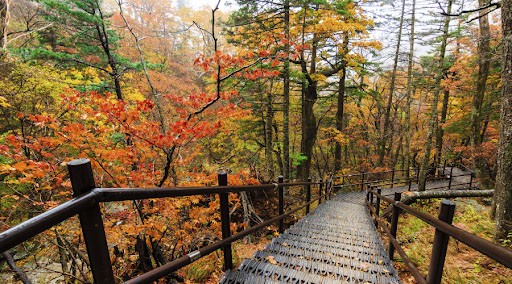 Núi Seoraksan - Gangwondo