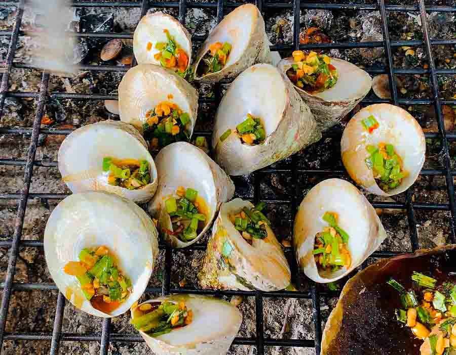 Ốc vú nàng Côn Đảo 