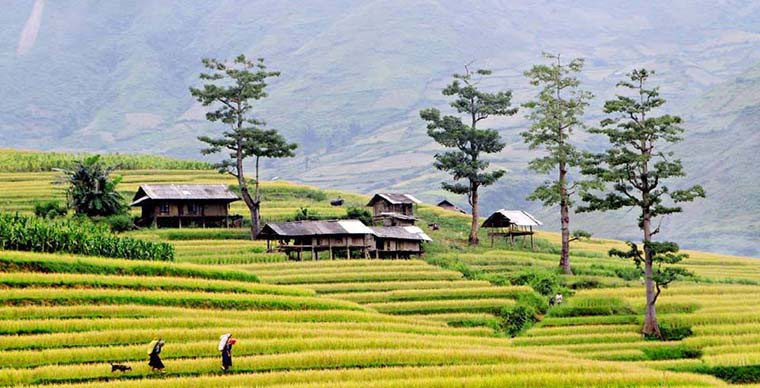 Du lịch Sapa Du lịch Sapa