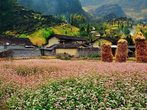 top 10 các điểm du lịch Hà Giang - thung lũng Sủng Là