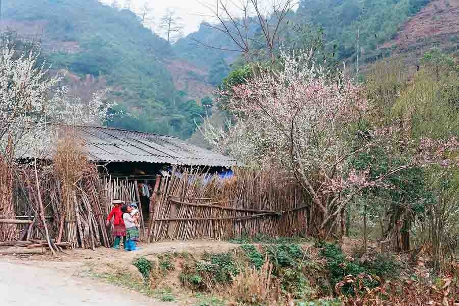 Phố Cáo Đồng Văn
