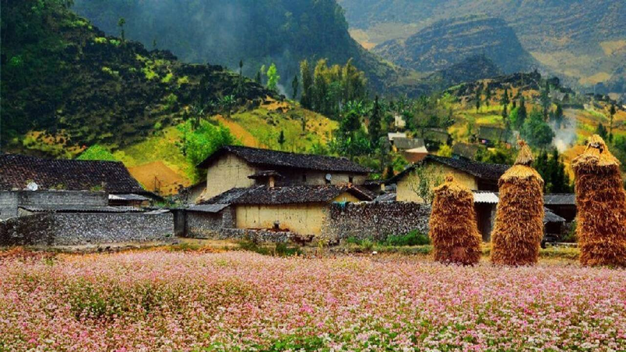 Du lịch Phố Cáo Hà Giang(1) du-lich-pho-cao-ha-giang(1)
