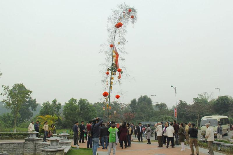 Phong tục tết miên Bắc leo cây 