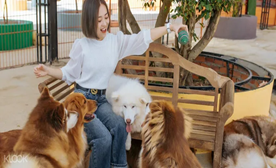 puppy farm