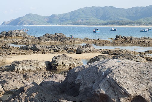 Bãi đã Lộ Diêu, một trong những địa điểm du lịch ở Quy Nhơn Bình Định