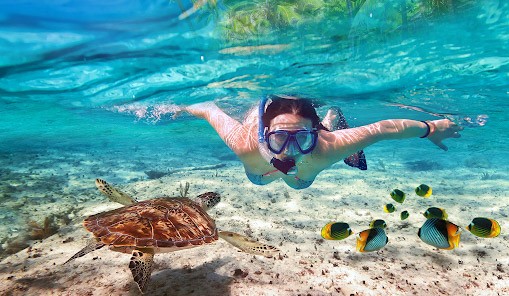 Bơi snorkeling ở những địa điểm du lịch ở Quy Nhơn Bình Định