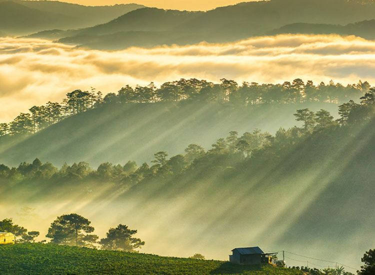 tour Đà Lạt 3 ngày 3 đêm 3