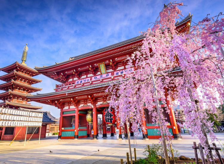 tour Nhật Bản Hải Đăng 3