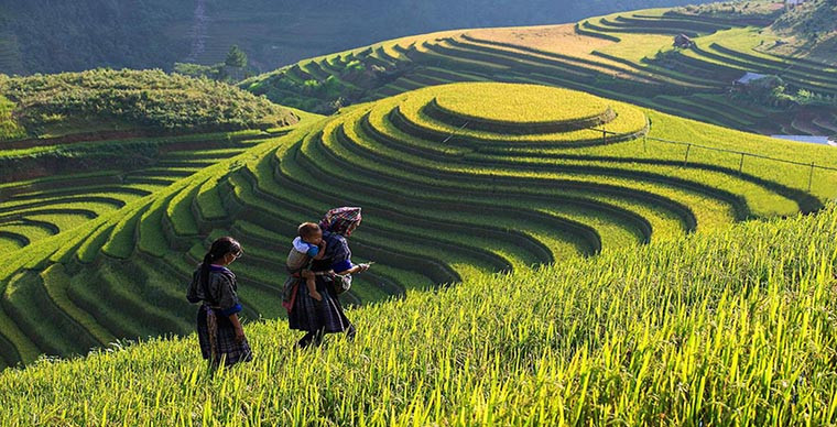 Du lịch Sapa Du lịch Sapa