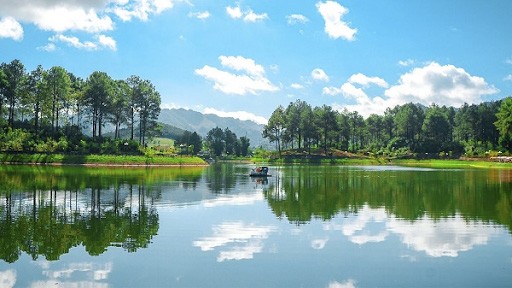 Rừng thông Bản Áng Mộc Châu