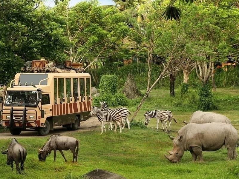 Safari World Bangkok Safari World Bangkok