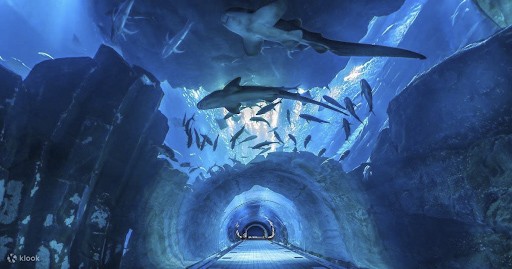 Địa điểm du lịch Thái Lan, SEA LIFE Bangkok Ocean World
