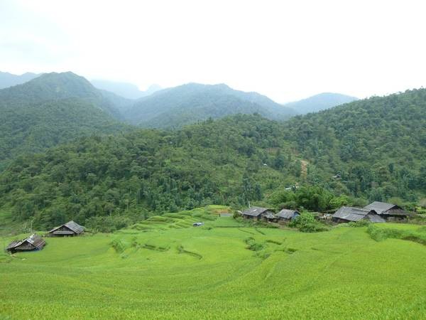 SÍN CHẢI