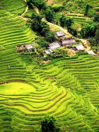 TẢ VAN