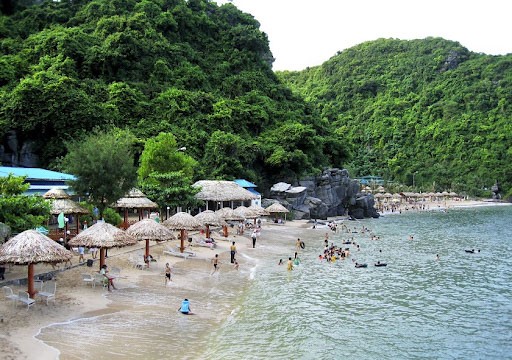 Tắm biển ở Đảo Khỉ
