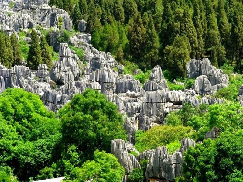 Khám phá mê cung rừng đá Thạch Lâm Khám phá mê cung rừng đá Thạch Lâm