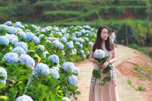 đi du lịch tháng 3 Đà Lạt mặc gì