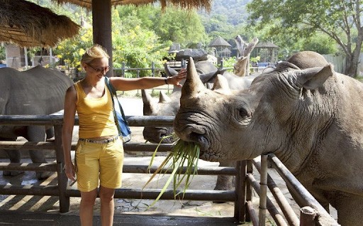 Khám phá thảo cầm viên Chiang Mai