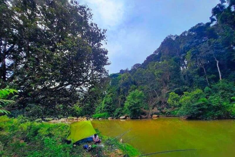 thiên nhiên núi rừng rộng lớn tại Thác Pa Sỹ thiên nhiên núi rừng rộng lớn tại Thác Pa Sỹ