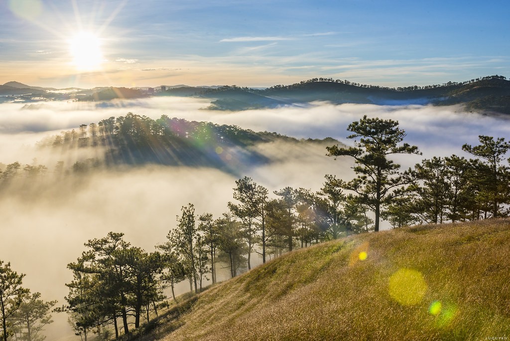 du-lich-da-lat-thang-11-san-may-tai-da-lat