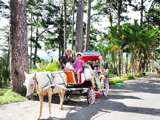 kinh nghiệm du lịch Đà Lạt 4 ngày 3 đêm - thuê xe ngựa