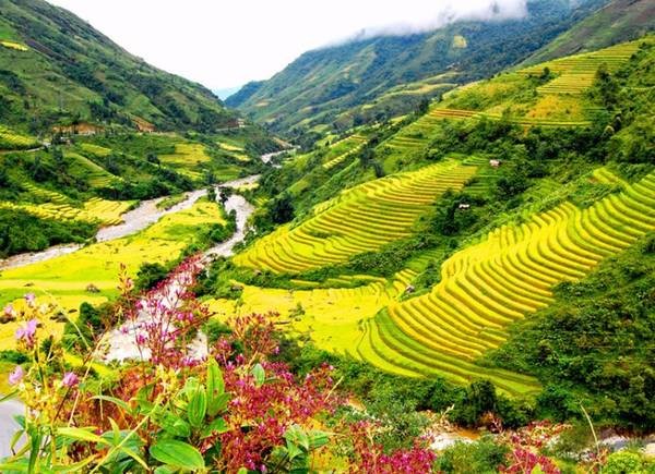 THUNG LŨNG MƯỜNG HOA
