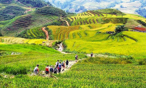 Thung lũng Mường Hoa ở Sapa
