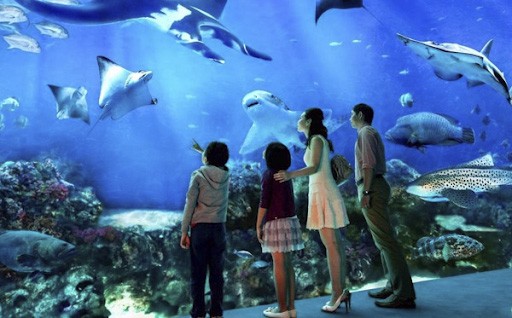 Địa điểm du lịch Thái Lan SEA LIFE Bangkok Ocean Life