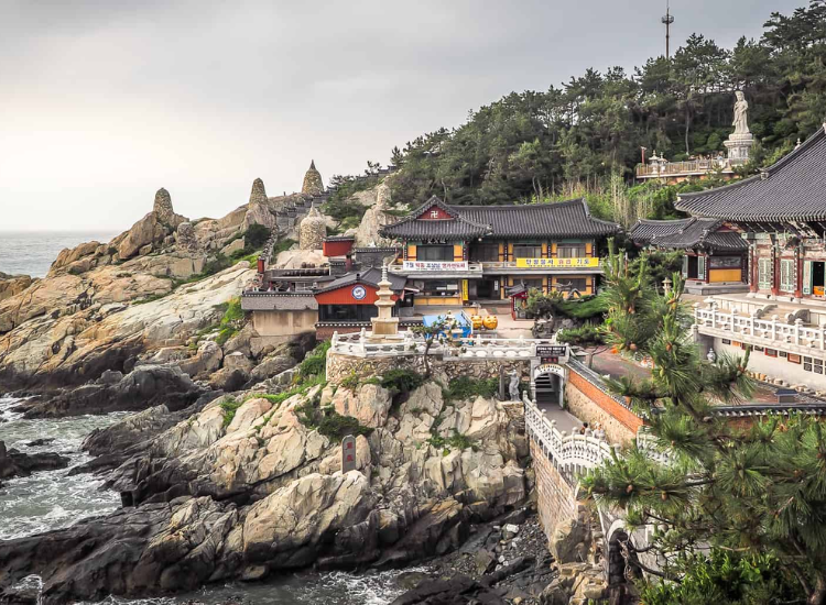 tour Busan Hàn Quốc-2
