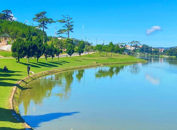 tour Đà Lạt Tết 2026 giá rẻ 2