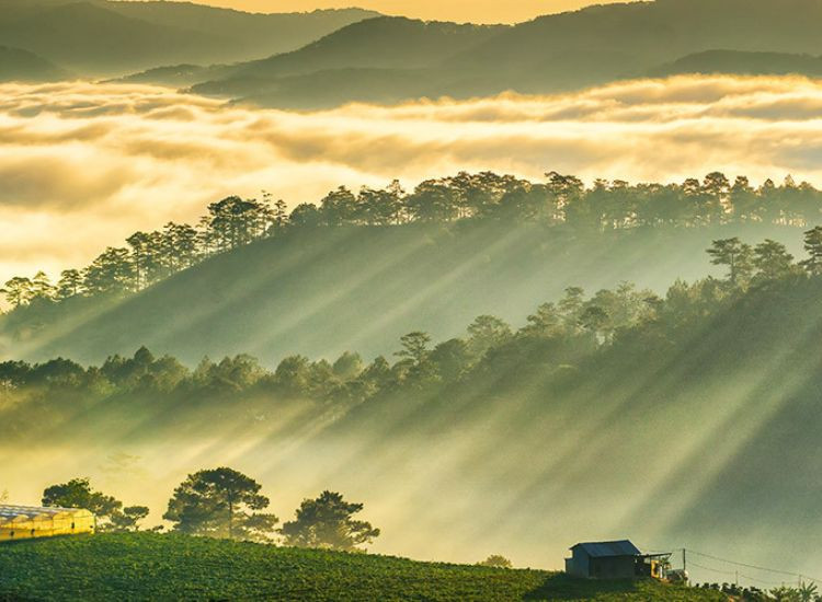 tour Đà Lạt Tết 2026 trọn gói 1