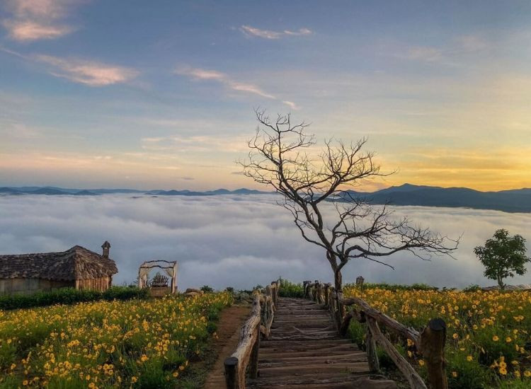 Vì sao nên chọn tour Đà Lạt lễ 30/4 từ Bình Dương? tour du lịch Đà Lạt 1