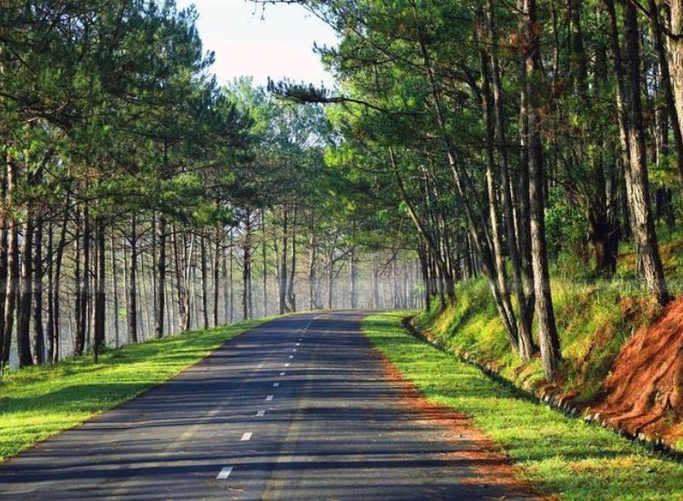 Giải đáp thắc mắc thường gặp tour du lịch Đà Lạt 3