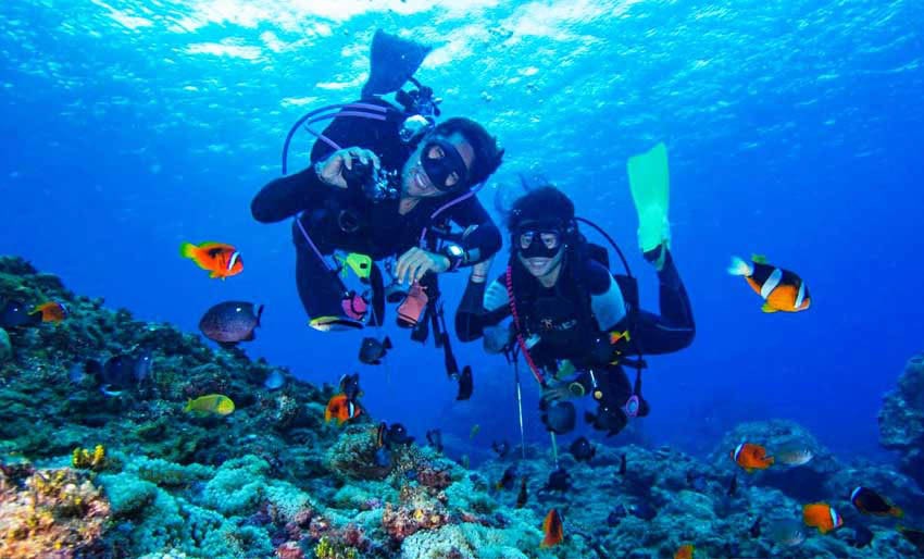 Lặn biển ngắm san hô tại Vinpearl Diving Club