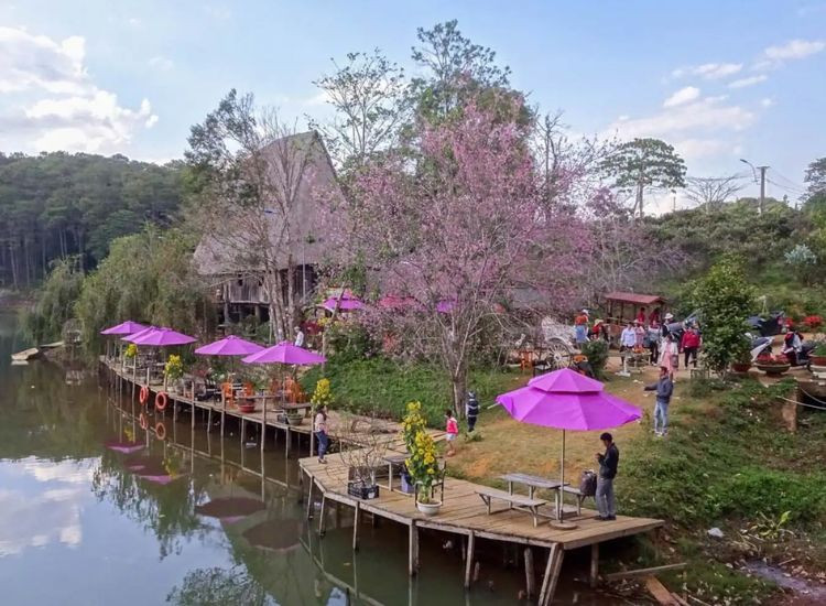 Lịch trình chi tiết Tour Măng Đen 30/4 2 tour Măng Đen 30/4 2