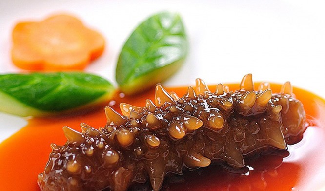 Hải sâm món ăn vô cùng bổ dưỡng