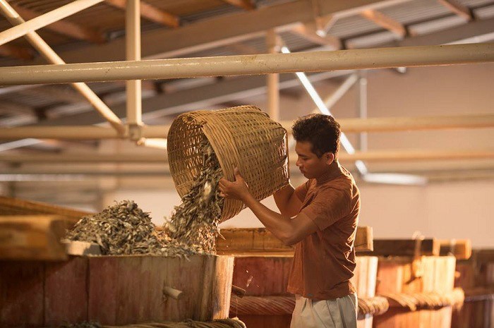 Nhà Thùng nơi sản xuất nước mắm tại Phú Quốc 