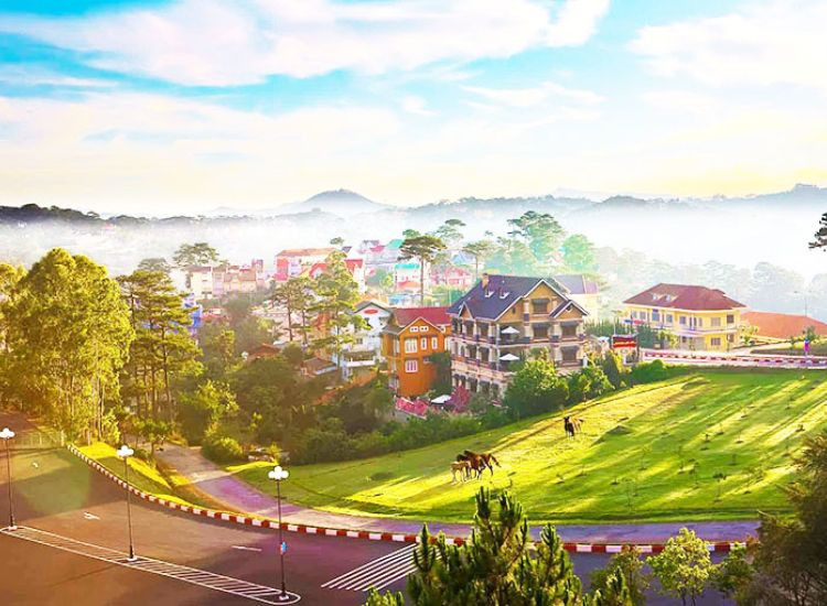 Mẹo săn mây thành công 100% tour săn mây Đà Lạt 2